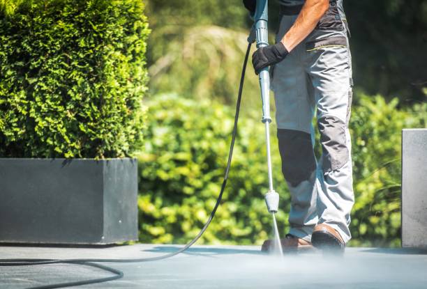Best Roof Cleaning and Mildew Removal in Pawhuska, OK